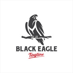 Eagle Bird Logo Design Vector Image