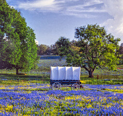 Hill country in West Texas near Austin