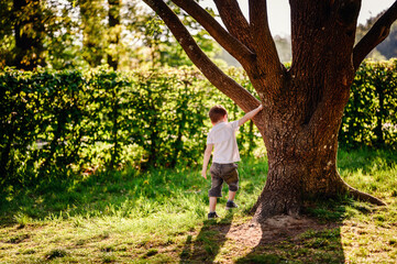 Obraz premium A young boy in a white shirt and denim shorts explores nature in a park, touching a tree trunk while surrounded by lush greenery and sunlight.