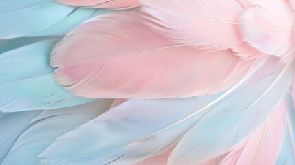 Detailed close up of assorted pink and blue feathers for a vibrant and colorful display