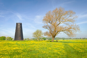 View across the Westwood public parkland with wild flowers in spring in Beverley, Yorkshire, UK.