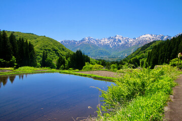 青鬼集落・棚田・北アルプス（長野県・白馬村） © tk2001
