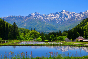 青鬼集落・棚田・北アルプス（長野県・白馬村） © tk2001