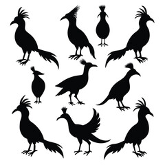 Set of hoatzin birds animal Silhouette Vector on a white background