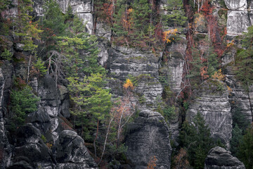 Autumn in The Saxon Switzerland National Park, or Nationalpark Sächsische Schweiz in Germany. Fall colors. 
