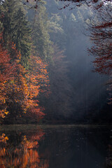 Autumn in The Saxon Switzerland National Park, or Nationalpark Sächsische Schweiz in Germany. Fall colors. 