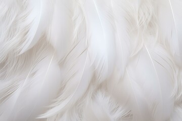 Close-up image of delicate white feathers forming a seamless soft texture