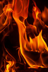Fototapeta premium Fuoco d'inverno