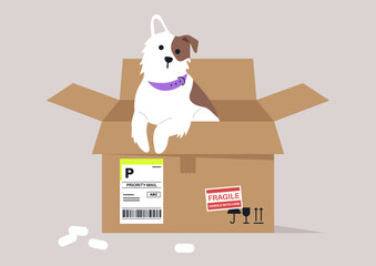 A playful dog with a purple collar joyfully investigates an open cardboard box filled with packing material and labels, creating a heartwarming and charming scene