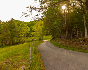 Afternoon Sunlight Streaming Through The Trees on The Cades Cove Loop, Great Smoky Mountains National Park, Tennessee, USA