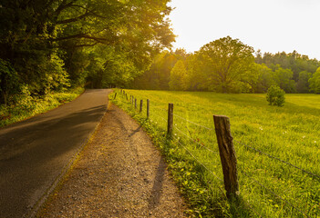 Afternoon Sunlight Streaming Through The Trees on The Cades Cove Loop, Great Smoky Mountains National Park, Tennessee, USA