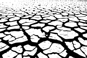 Close-up of dried, cracked earth in a drought-stricken area.