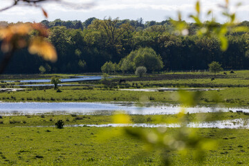 Schöne Feldlandschaft mit Überschwemmungen am Kaltenhofer Moor am Stodthagener Forst.