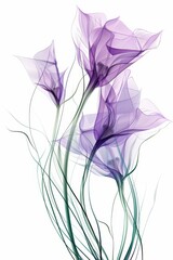 Purple Flower With Green Stems on White Background