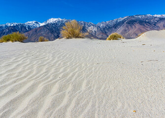 Sand Dunes With The Snow Capped Sierra Nevada Mountains, Olancha Dunes, California, USA