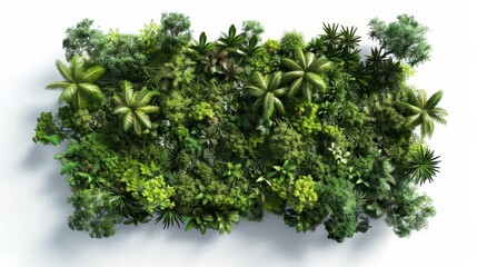 Aerial view of a single Kluay Hak Mook, vividly detailed foliage, crisp white background, precise shadows, hyper-realistic, vibrant colors and textures