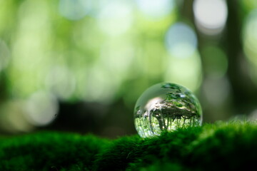 エコイメージ　ガラスの地球