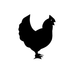 Hen black icone silhouette vector on a white background .Chicken silhouette. Bird element illustration