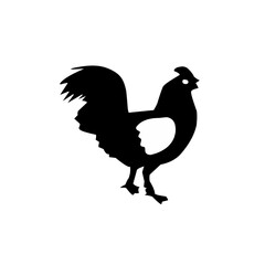 Hen black icone silhouette vector on a white background .Chicken silhouette. Bird element illustration