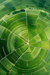 Aerial view of circular crop patterns created by center-pivot irrigation systems. Highlight the repetitive geometric shapes and the contrast between the green crops and the surrounding landscape. 
