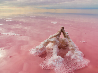 Pink Salt Lake Incredible Natural Landscape. Unusual Natural Phenomena