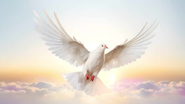 White doves flying isolated on white background , Hope and freedom concept.