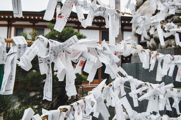 Omikuji, Japanese fortune-telling paper strips hanging in the wind at a Shrine, Japan 