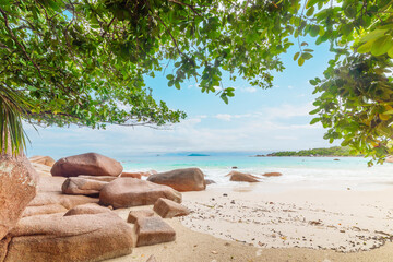 Rocks and plants by the sea in a tropical beach in Seychelles