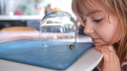 Curious Caucasian Girl Watching Dangerous Hornet Insect Captured Trapped under Glass
