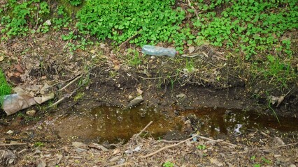 Forest Creek Water Stream Polluted with Glass and Plastic Bottles Garbage Trash