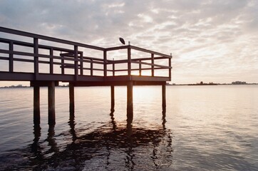 Obraz premium Little Heron on Dock at Sunset on 35mm Film