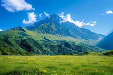 mountain landscape in the summer