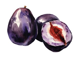 Vibrant watercolor illustration of fresh, ripe plums. Perfect for culinary, botanical, or artistic projects needing a splash of natural beauty.