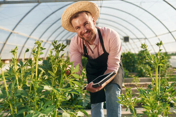 Man in greenhouse is working with plants