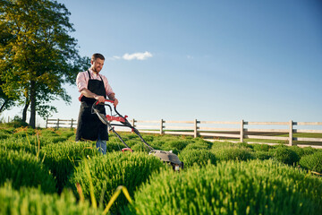 Cleaning the field by using lawn mower. Adult farmer is outdoors