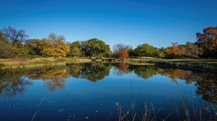 A serene pond reflecting a clear blue sky.
