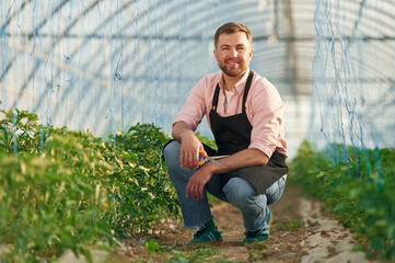 Cheerful facial expression. Man in greenhouse is working with plants