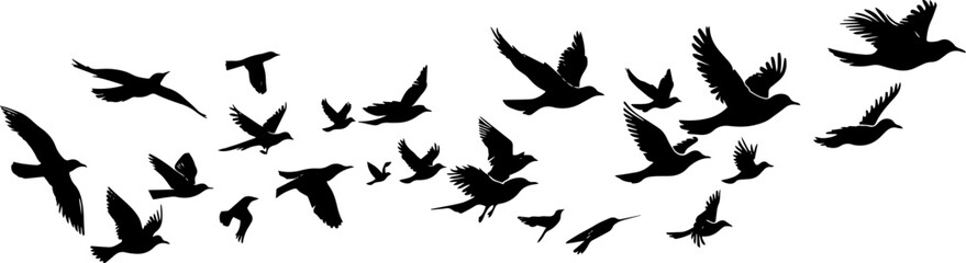 Obraz premium Flying Birds Silhouettes On White Background Vector Design. AI generated illustration.