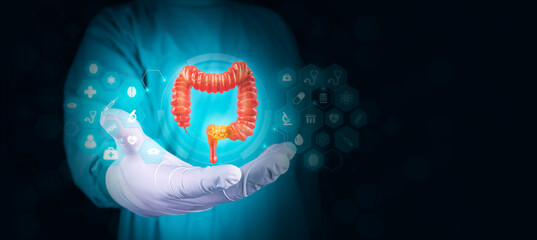 Colon cancer concept. The doctor analyzes the large intestine with tissue damaged by cancer....