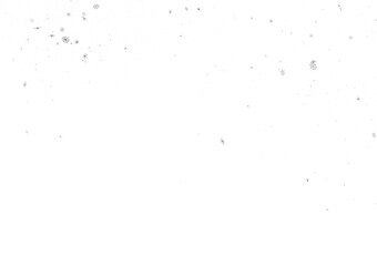 Glistening Snow Shower: Striking 3D Illustration Showcasing Falling Holiday Snowflakes
