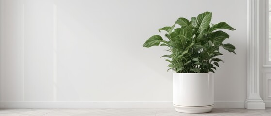 Fototapeta premium minimalist wooden shelf against a plain white wall
