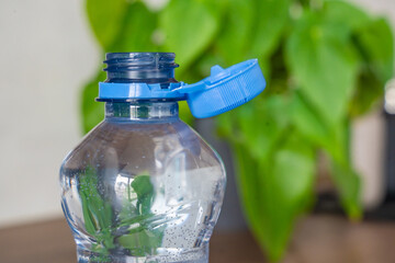 Stationary plastic cap on a PET bottle. The new design means the cap remains attached to the bottle after opening, making the entire package easier to collect and recycle