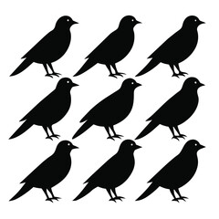 Set of rail birds animal Silhouette Vector on a white background