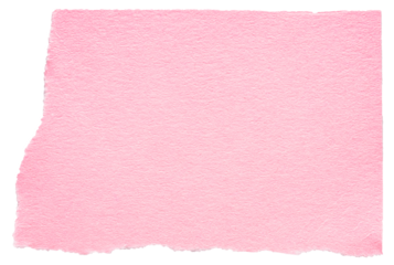 Isolated pink cut out torn piece of blank paper note cardboard with texture and copy space for text, transparent png background design element
