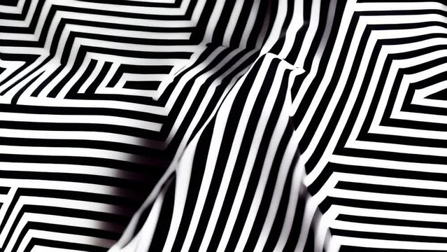 Abstract Black and White Lines Motion Graphic