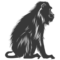 Obraz premium Silhouette Mandrill animal black color only