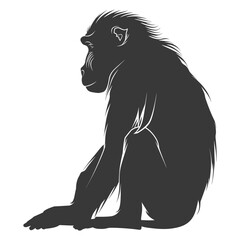 Silhouette Mandrill animal black color only