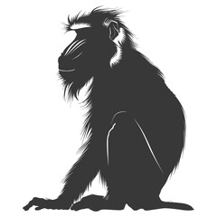 Obraz premium Silhouette Mandrill animal black color only