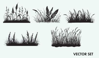 Elevate your designs with the fresh, organic beauty of our Herbs Vector Set. Perfect for food branding, recipe books, restaurant marketing and more.