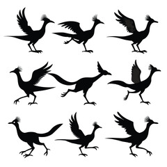 Set of roadrunner animal Silhouette Vector on a white background